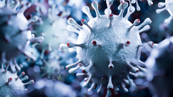 Best Practices For Germ-Free Home