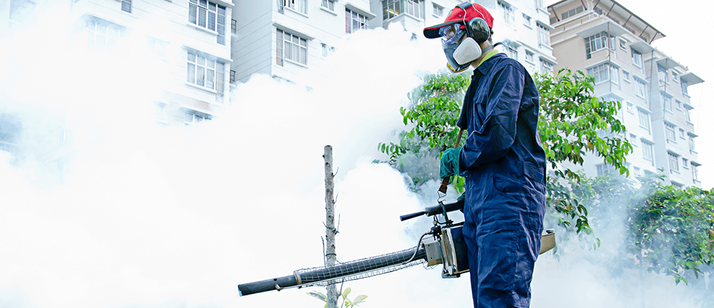 Sugestões Pra Um Melhor Controle De Pragas Em Teu Edifício 2