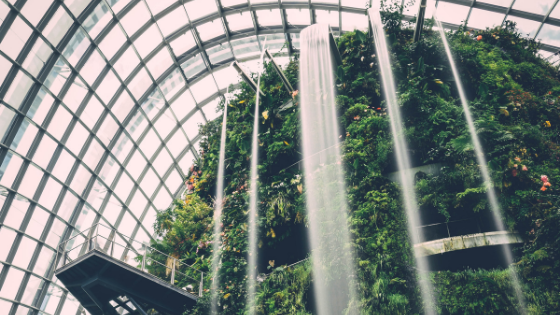 hotel-landscaping-made-lasting-impression