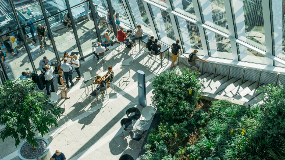 The Benefits of Indoor landscaping