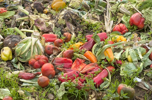 Starting a compost pile will save money at home.