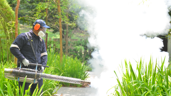 Best Practice For Pest Control In Residential Area